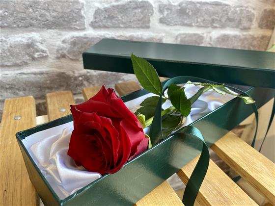 Single red rose in presentation box Mrs Bouquet Florist Sidcup