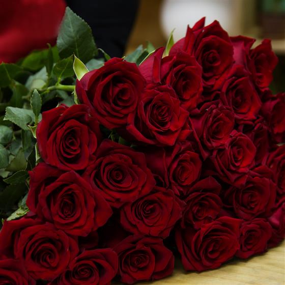 Red shop rose day