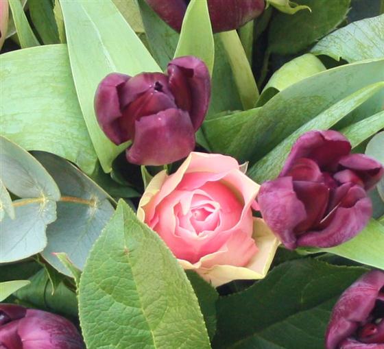 Rose and Tulip Mrs Bouquet Florist Sidcup