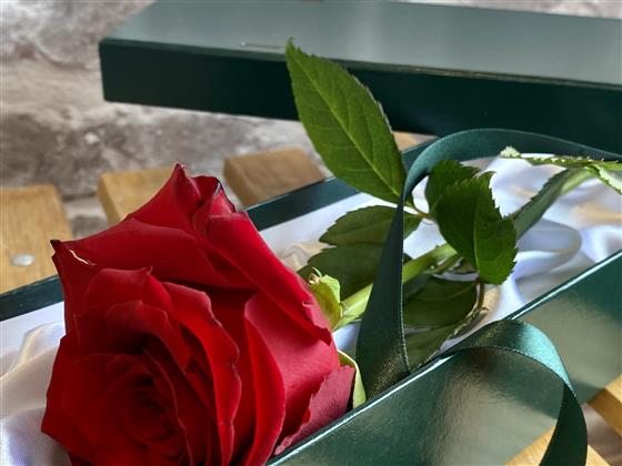 Single red rose in presentation box Mrs Bouquet Florist Sidcup
